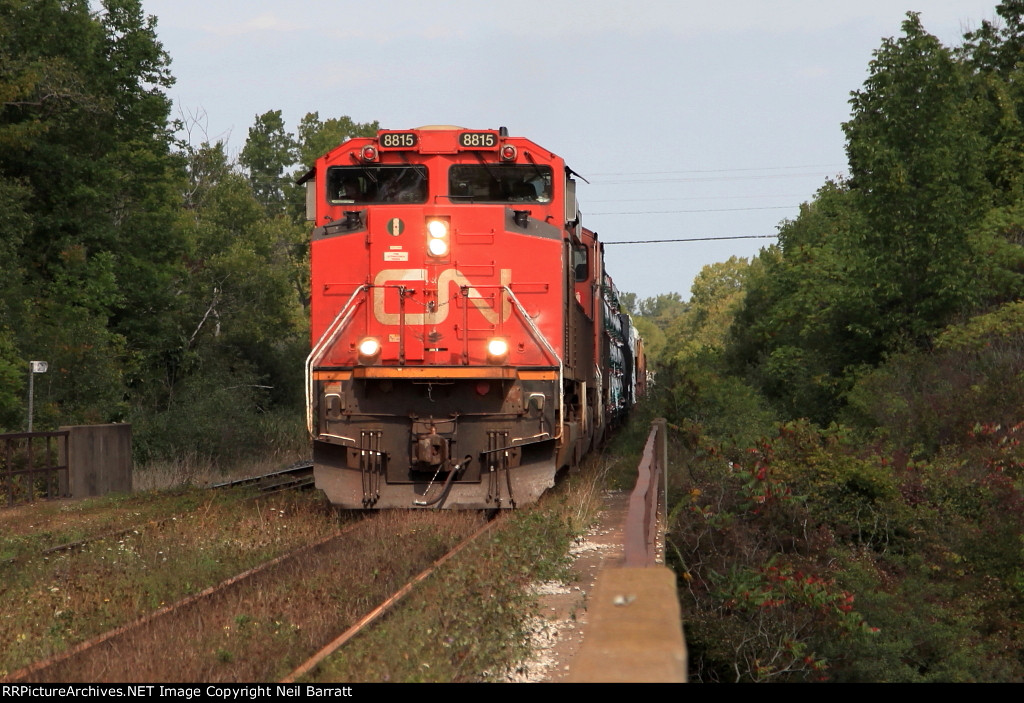 CN 8815